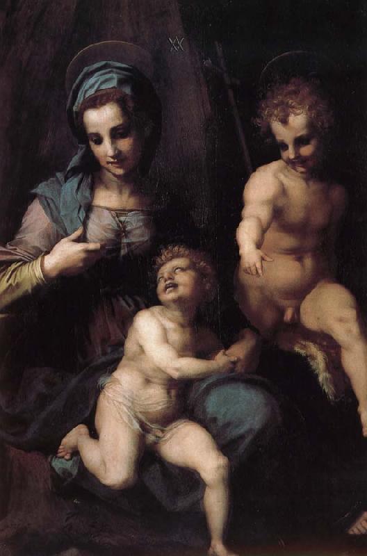 Andrea del Sarto The Virgin and Child with St. John childhood oil painting image
